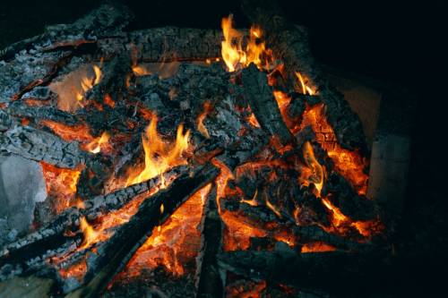 0810_649490_31a.jpg