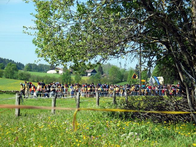 100_0033.jpg