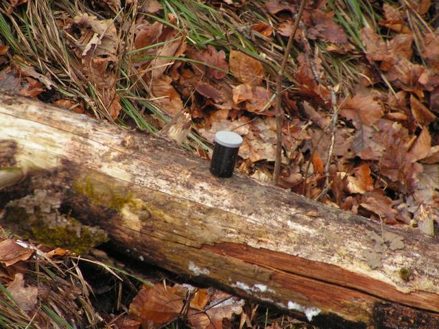 PICT0032.jpg