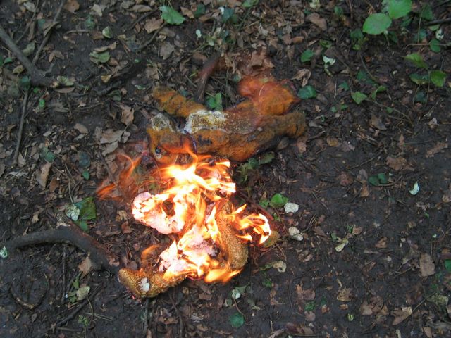 111_1156.jpg