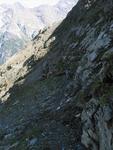 IMG_2256.jpg
