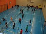 Die Volleynight
