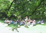 Sonnenschein