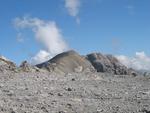 IMG_5903.jpg