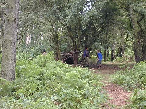 Dscn0135.jpg