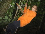 Pfila 2006