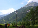 Sola 2006