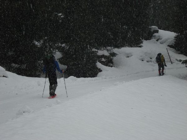 Immerhin wurde der Regen zum Schneefall.