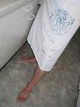 Vorbereitungen zum Pelikan Essen 2007. Chefkoch Kontra.