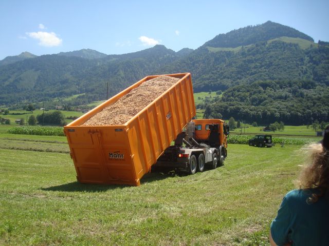 Eine Ladung Holzschnitzel