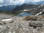Elchwanderung 2013 - Munt Cotschen - Monte Garone